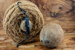 Copra dried pulp and ropes made from fibers of the coconut Cocos nucifera photo
