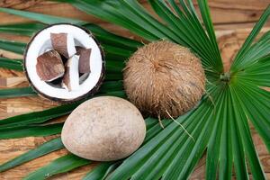 Copra dried pulp and ropes made from fibers of the coconut Cocos nucifera photo
