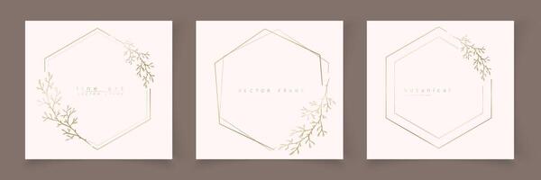 Set of hexagon frame template in minimal linear style with hand drawn branches and leaves. Elegant polygon frame. Botanical illustration for labels, corporate identity, wedding invitation, logo vector