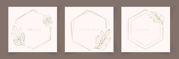 Set of hexagon frame template in minimal linear style with hand drawn branches and leaves. Elegant polygon frame. Botanical illustration for labels, corporate identity, wedding invitation, logo vector