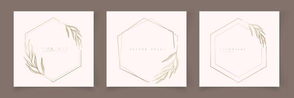 Set of hexagon frame template in minimal linear style with hand drawn branches and leaves. Elegant polygon frame. Botanical illustration for labels, corporate identity, wedding invitation, logo vector