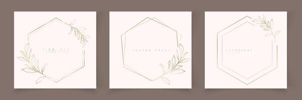 Set of hexagon frame template in minimal linear style with hand drawn branches and leaves. Elegant polygon frame. Botanical illustration for labels, corporate identity, wedding invitation, logo vector