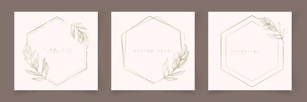 Set of hexagon frame template in minimal linear style with hand drawn branches and leaves. Elegant polygon frame. Botanical illustration for labels, corporate identity, wedding invitation, logo vector