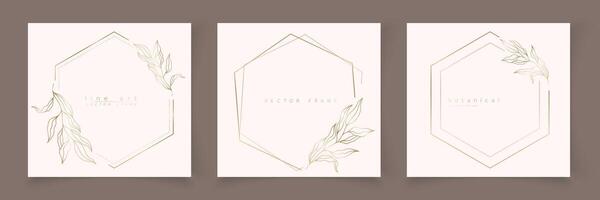 Set of hexagon frame template in minimal linear style with hand drawn branches and leaves. Elegant polygon frame. Botanical illustration for labels, corporate identity, wedding invitation, logo vector