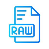 Raw Document file gradient icon. format file type icons symbol, Extension, type data, illustration. vector