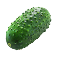 A closeup view of a green cucumber with a bumpy surface png
