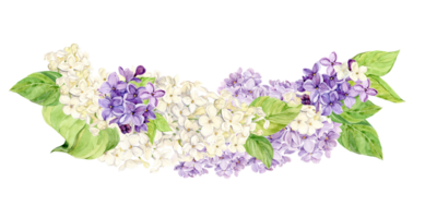 Watercolor illustration of lilac. Composition of purple and white syringa with leaves, flowers and buds. Fragrant spring flower on a isolated background for a wedding invitation, greeting card. png