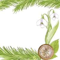Signature frame forest invitation with fir branches, snowdrop and compass on the theme of tourism, travel, camping. Used for design banner, flyer, scrapbook, cards. vector