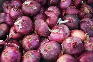 Fresh Red Onions photo