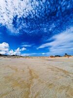 desert on Bintan Island during the day with sunny weather. with white and wet sand photo