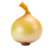 Whole yellow onion with delicate skin texture, isolated on transparent png