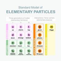 Standard Model of Elementary Particles vector