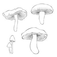 Set mushroom isolated on a white background. Illustration in outline style. vector