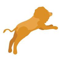 Powerful lion jumping and showing its strength and agility vector