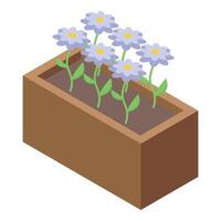 Wooden flower box with blooming daisies growing in soil, isometric view vector