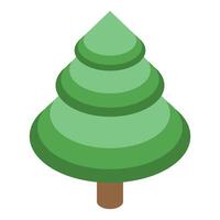 Green stylized isometric coniferous tree standing on white background vector