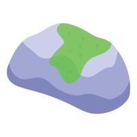 Moss growing on stone with irregular shape representing nature vector
