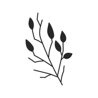Autumn Tree Branch with Leaves Doodle art