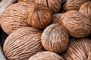 Top view of a cerbera odollam seeds or pong pong seeds from suicide tree. Close up of pong pong plant seeds showing beautiful patterns used for garden decoration. photo
