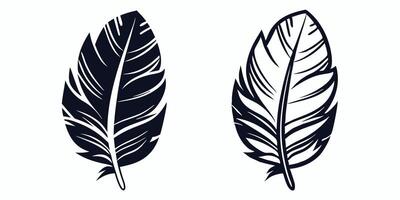 two black and white feathers on a white background vector