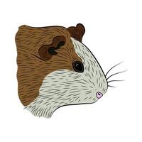 Colored Guinea Pig Head, Hand Drawn, Graphic Style vector