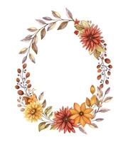 Oval wreath fall flower with watercolor Aster and branch of berries. Hand drawn red and orange blooming floral frame in rustic style. Perfect for autumn botanical invitation and card designs. vector