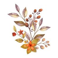 Autumn flower watercolor bouquet with small berries and twig. Hand drawn floral arrangement with blooming in golden and muted colors. Perfect for fall botanical invitation and card designs. vector