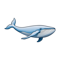 whale swimming isolated on transparent background png