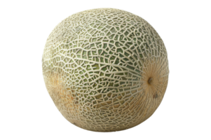 Cantaloupe Melon Isolated png