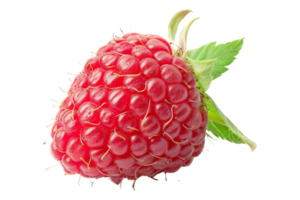Fresh Raspberry with Green Leaf png