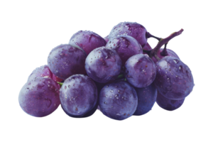 Fresh Purple Grapes with Water Droplets png