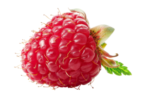 Fresh Red Raspberry with Green Leaf Isolated png