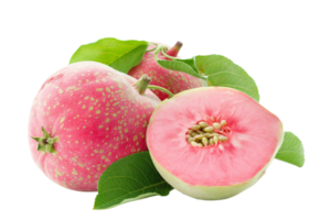 fresco Rosa maçã com verde folhas png