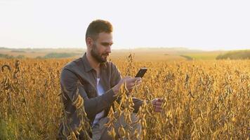 Farmer taking pictures of soybean plantation. Quality control video