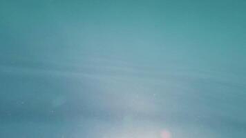 Submerged in the sea, water particles and stream moving from inside of the sea video