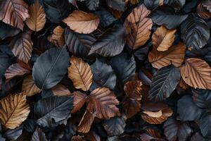 Closeup shot of dry autumn leaves creating a natural textured pattern photo