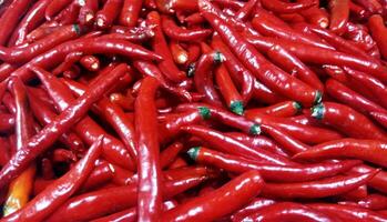 Photo of lots of chilies