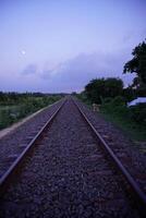 railway in the field photo