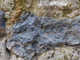 Stone Rough Texture Background Surrounded By Moss photo