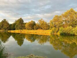Beautiful natural landscape with a lake. A view of the trees reflected in the water of the pond. photo