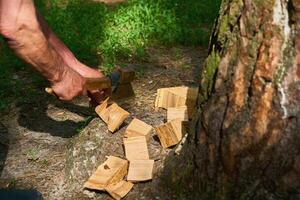 Hands of a man chopping wood with an axe at a picnic photo