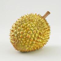 Closeup of a whole fresh durian fruit with spiky rind isolated on white background photo