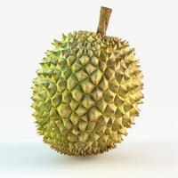 Durian fruit isolated on white background. Close-up view of spiky, pungent fruit with a woody stem. photo
