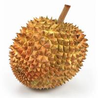 Whole durian fruit isolated on white background. Closeup of the thorny exterior of a durian. photo
