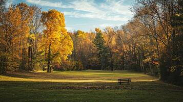 Autumn landscape with a bench in the park. Beautiful autumn forest. photo