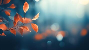 blurred background of orange leaves with bokeh on a blue background photo