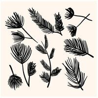 Christmas pine branch and cone With illustration style doodle and line art vector