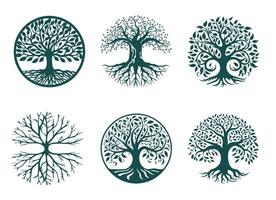 The symbol of the tree of life in a circle on a white background vector