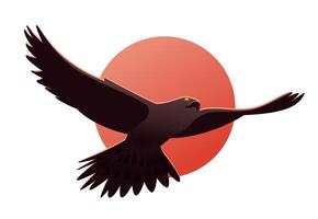 Flying hawk on the background of the red sun vector