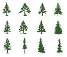 Set of silhouettes of coniferous trees. Various Christmas trees, cedar, pine and other needles vector